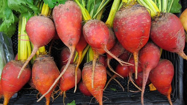 Mastering Authentic Ukrainian Borscht: A Taste of Heritage with Beets, Pickles, and Rye